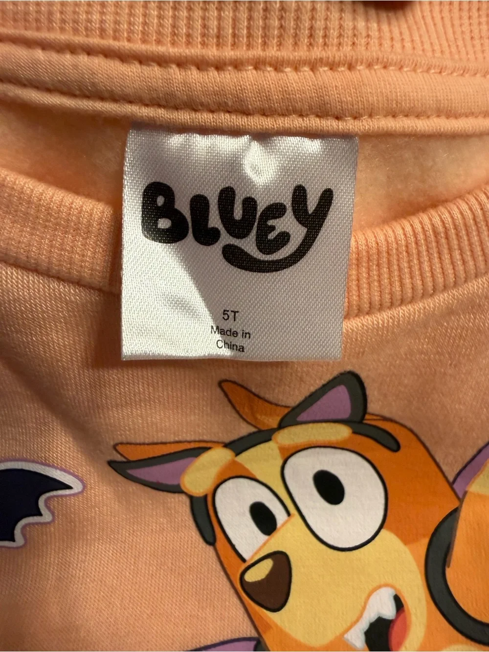 Bluey HalloweenGraphic Sweatshirt Children’s Place Black Leggings NWT Size 5T